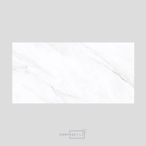 Contractile - IBIZA BLANCO